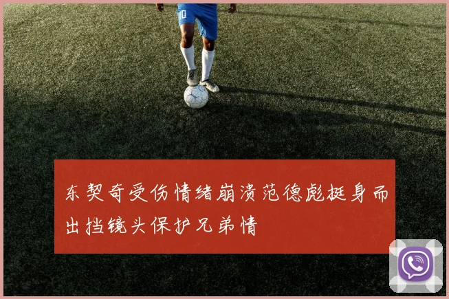 东契奇受伤情绪崩溃范德彪挺身而出挡镜头保护兄弟情