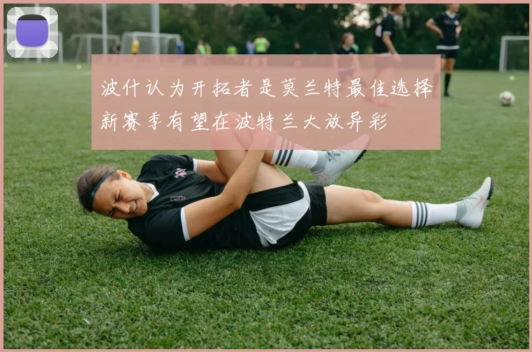 波什认为开拓者是莫兰特最佳选择新赛季有望在波特兰大放异彩